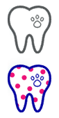 Dentistry