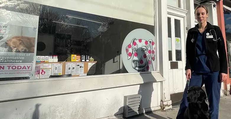 Dog Friendly Accreditation Village Vet Hampstead