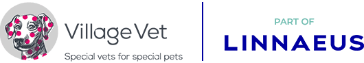 Village Vet Logo