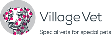 Village Vet logo
